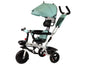 Tricycle PRO200 Mint canopy EVA wheels