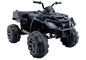 Electric Quad BDM 0909 Black 24V 2x45W USB SD MP3 Radio FM LED
